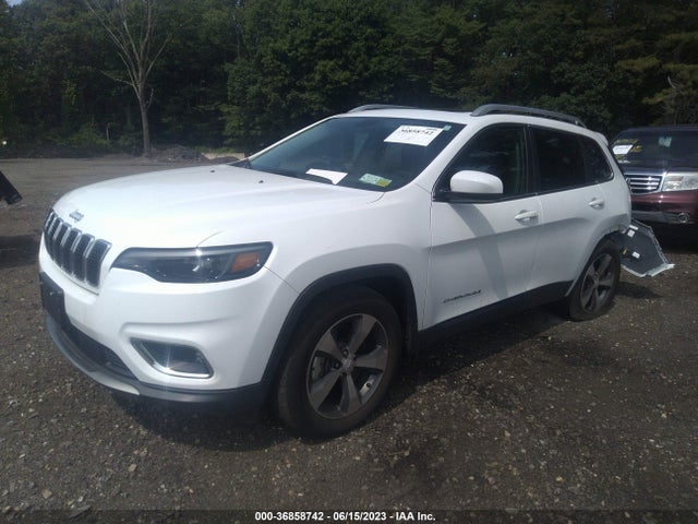 2019 JEEP CHEROKEE LIMITED VIN: 1C4PJMDX9KD280989