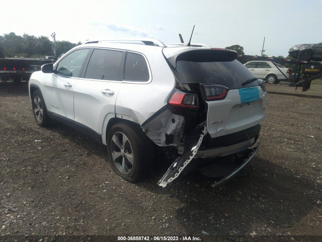 2019 JEEP CHEROKEE LIMITED VIN: 1C4PJMDX9KD280989