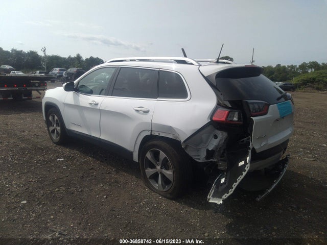 2019 JEEP CHEROKEE LIMITED VIN: 1C4PJMDX9KD280989