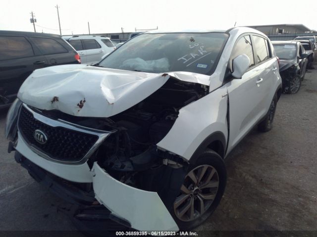 KNDPBCAC7F7684161 KIA Sportage Lx