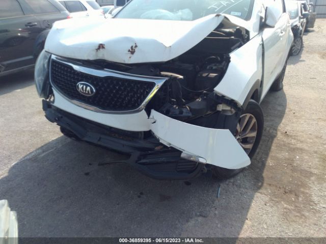 KNDPBCAC7F7684161 KIA Sportage Lx