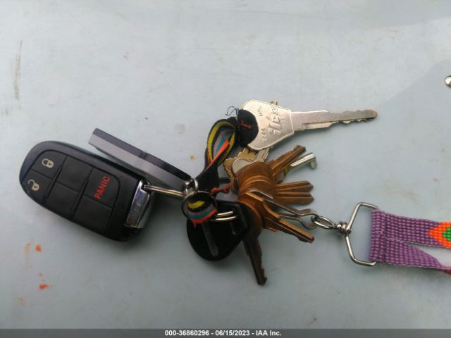 3C4NJDDB1LT177735 Jeep Compass Trailhawk