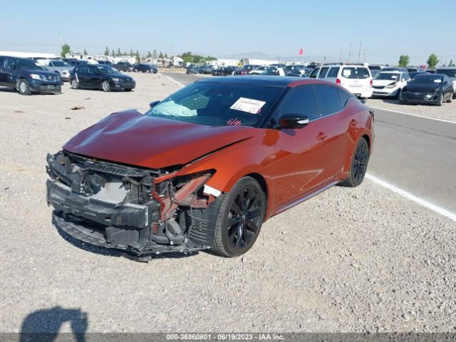 1N4AA6EV3LC365158 Nissan Maxima Sr