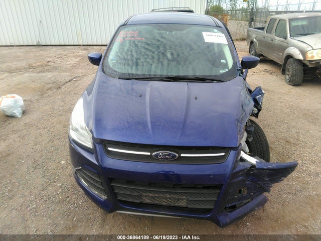 Ford ESCAPE SE 2016 1FMCU0GX3GUB91142 Image 12