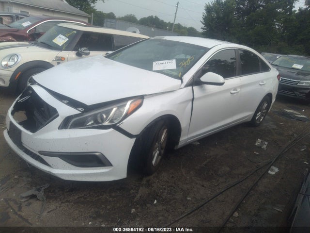Hyundai Sonata 2.4l Se 2016 5NPE24AF5GH360114 Image 2
