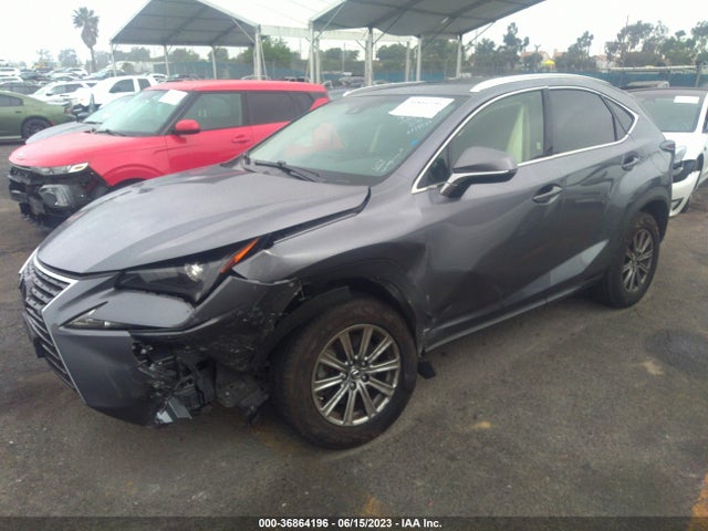 JTJYARBZ6K2124181 Lexus Nx Nx 300