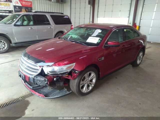 1FAHP2H80EG159173 Ford TAURUS SEL