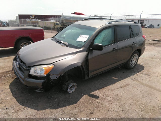 2011 TOYOTA RAV4 VIN: 2T3BF4DV7BW142123