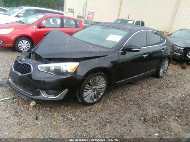 KNALN4D75E5161738 KIA Cadenza Limited