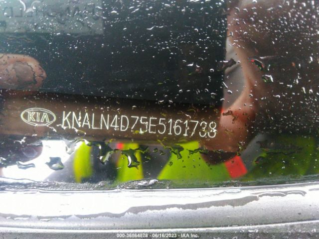 KNALN4D75E5161738 KIA Cadenza Limited