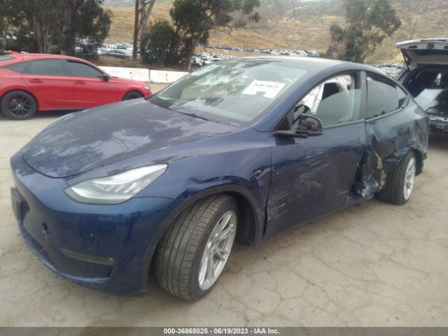 5YJYGDEE8MF160662 Tesla Model Y Long Range