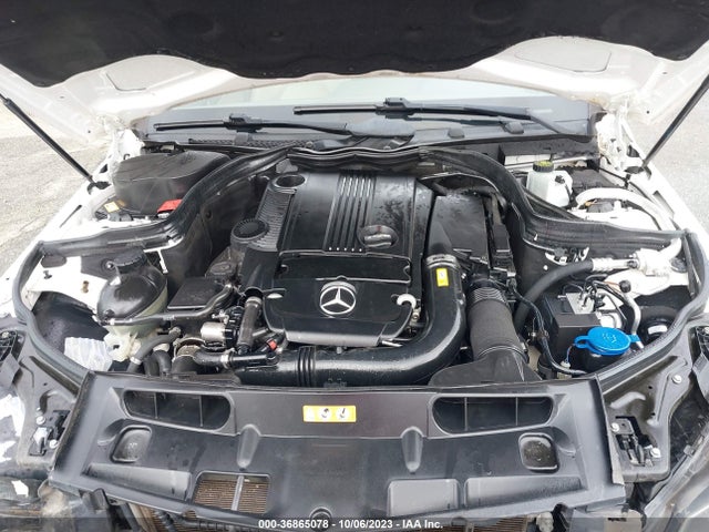 WDDGJ4HB4EG181794 Mercedes-Benz C-class C 250