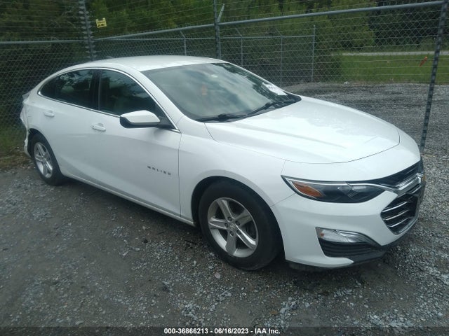2019 1G1ZC5ST8KF126053 main image
