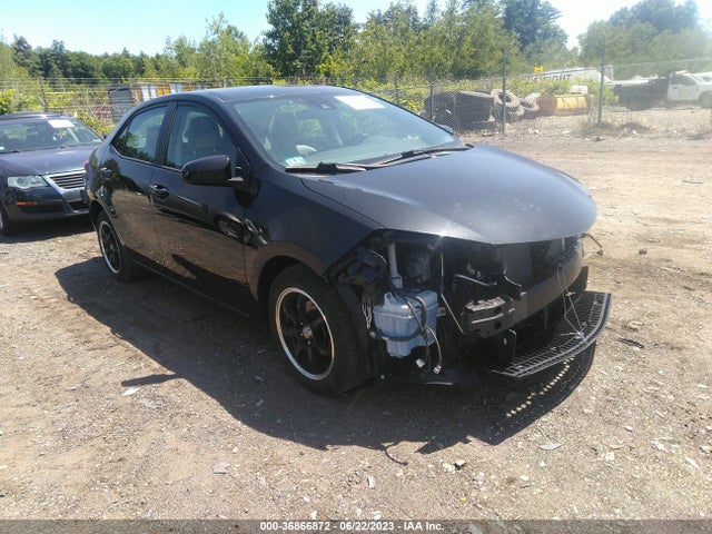 2019 2T1BURHE3KC175398 main image