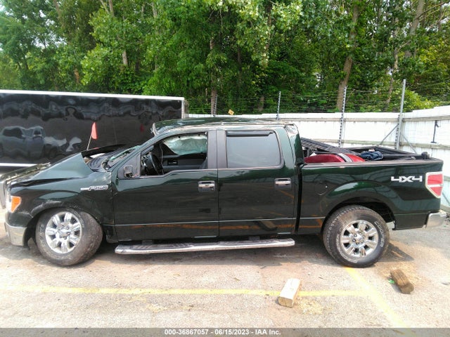 2012 FORD F-150 XL/XLT/FX4/LARIAT VIN: 1FTFW1EF6CKD29385
