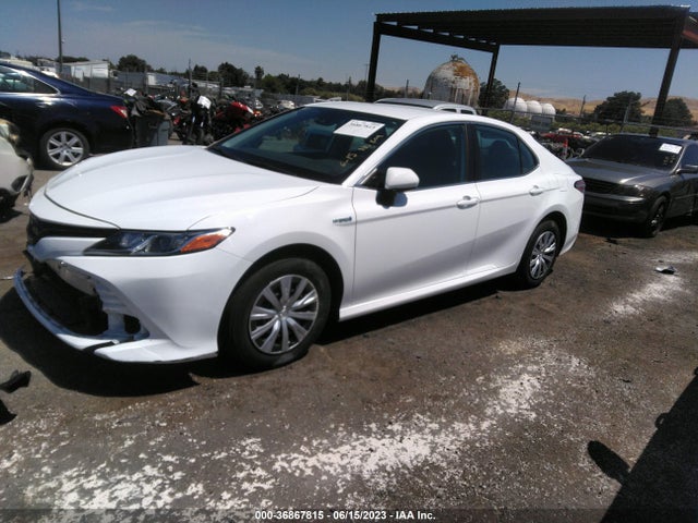 Toyota Camry Hybrid Le 2020 4T1C31AK3LU537528 Image 7