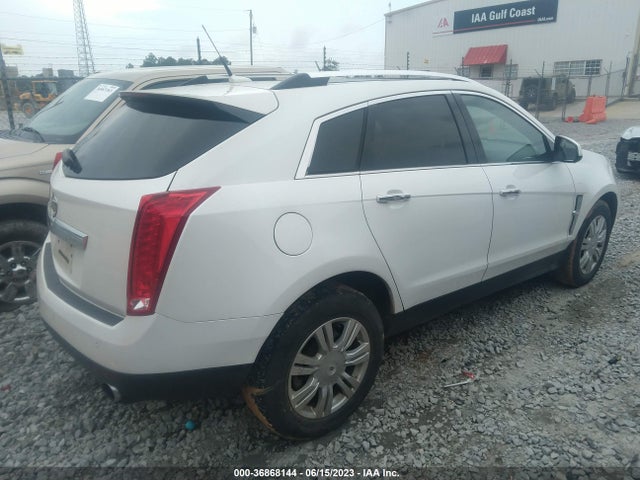 2010 CADILLAC SRX LUXURY COLLECTION VIN: 3GYFNAEY6AS569763
