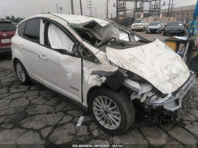 1FADP5AU6GL118029 auction archive image
