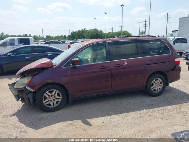2007 HONDA ODYSSEY EX-L VIN: 5FNRL38767B449292