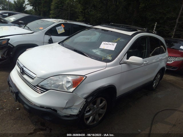 2009 HONDA CR-V EX-L VIN: 5J6RE48709L031997