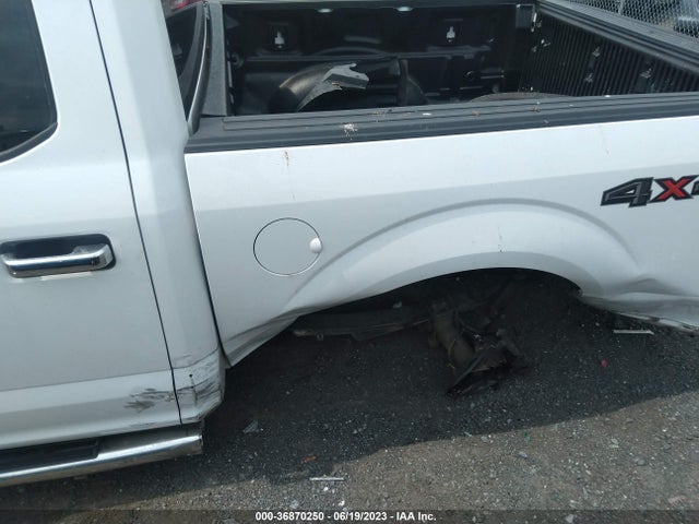 2016 FORD F-150 XLT/XL VIN: 1FTEW1E88GFC59349