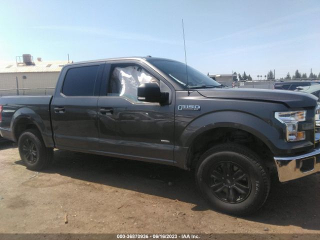 1FTEW1EG8FKD82307 Ford F-150 Xlt/xl/lariat/platinum