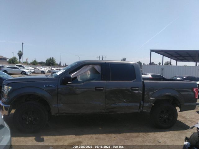1FTEW1EG8FKD82307 Ford F-150 Xlt/xl/lariat/platinum