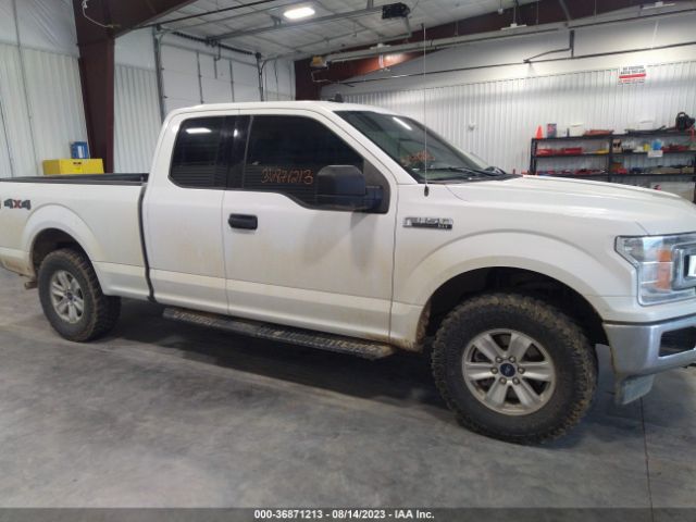1FTEX1EBXLFB84205 Ford F-150 Xl/xlt