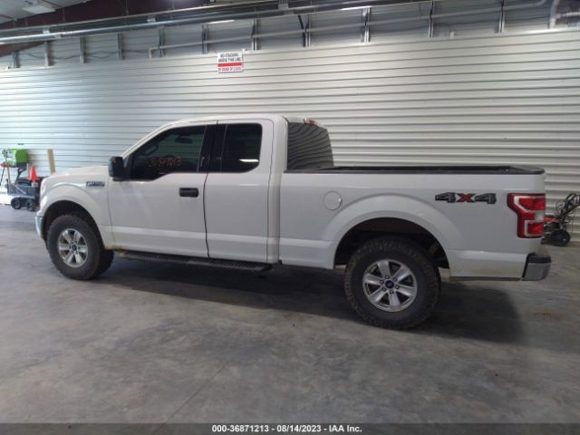 1FTEX1EBXLFB84205 Ford F-150 Xl/xlt