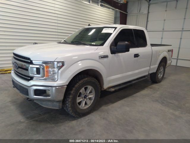 1FTEX1EBXLFB84205 Ford F-150 Xl/xlt