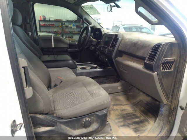 1FTEX1EBXLFB84205 Ford F-150 Xl/xlt