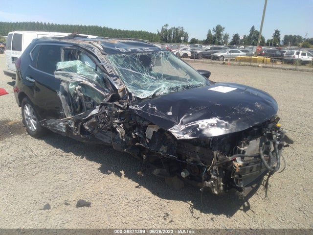 2019 KNMAT2MT1KP515031 main image