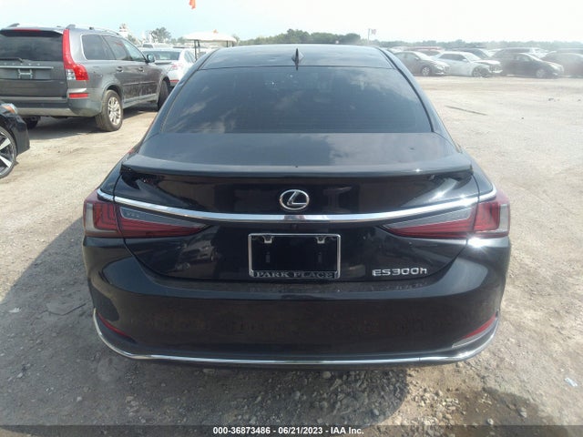 2023 LEXUS ES VIN: 58ADA1C16PU031172