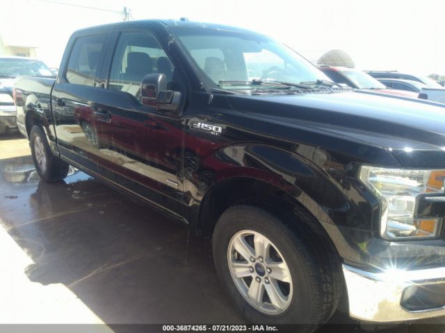 1FTEW1CP2GKD79679 Ford F-150 Xl/lariat/xlt