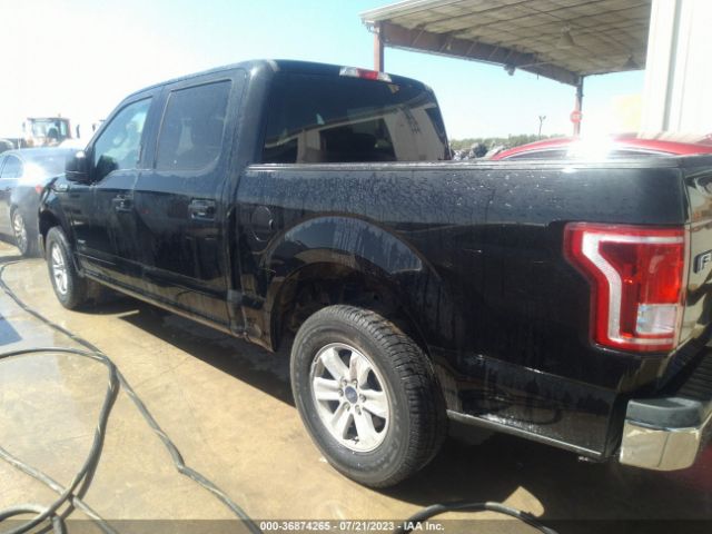 1FTEW1CP2GKD79679 Ford F-150 Xl/lariat/xlt