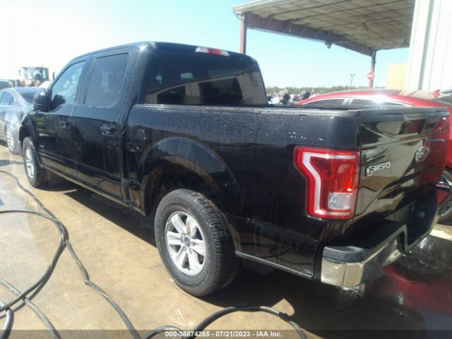 1FTEW1CP2GKD79679 Ford F-150 Xl/lariat/xlt