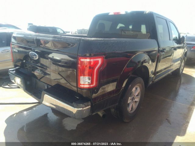 1FTEW1CP2GKD79679 Ford F-150 Xl/lariat/xlt