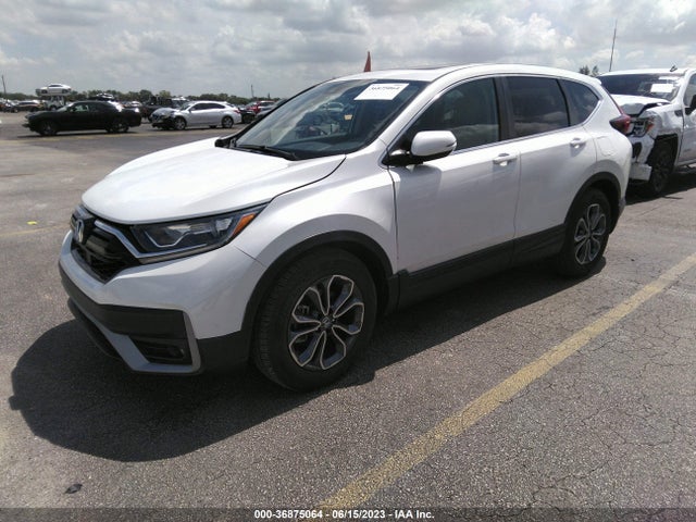 Honda Cr-v Ex-l 2020 5J6RW1H89LL007466 Image 2
