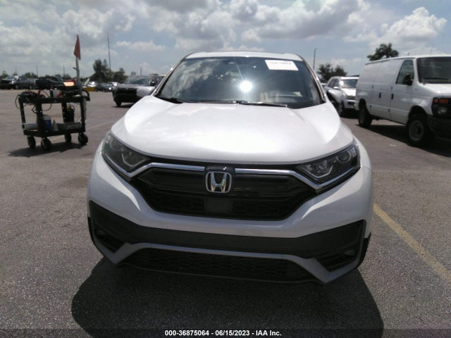 Honda Cr-v Ex-l 2020 5J6RW1H89LL007466 Image 6