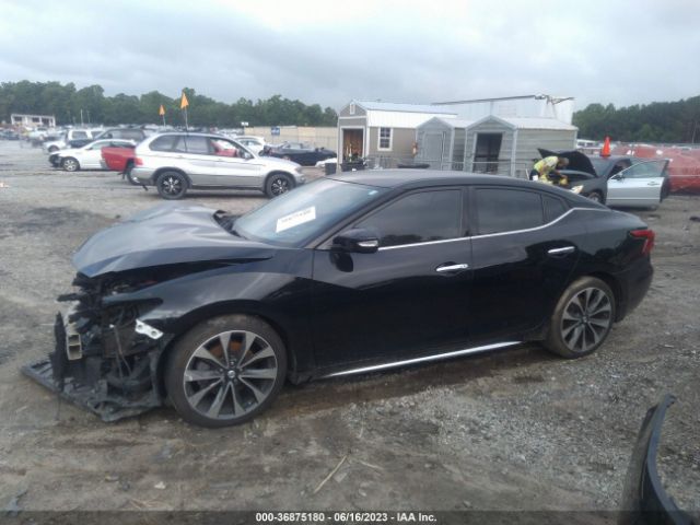 1N4AA6AP9GC903519 Nissan MAXIMA 3.5