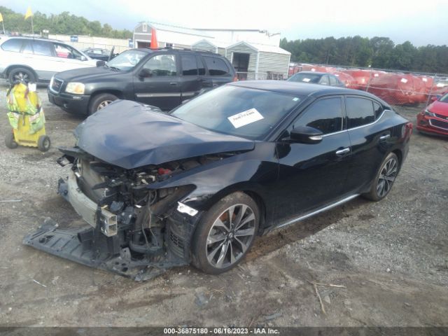 1N4AA6AP9GC903519 Nissan MAXIMA 3.5