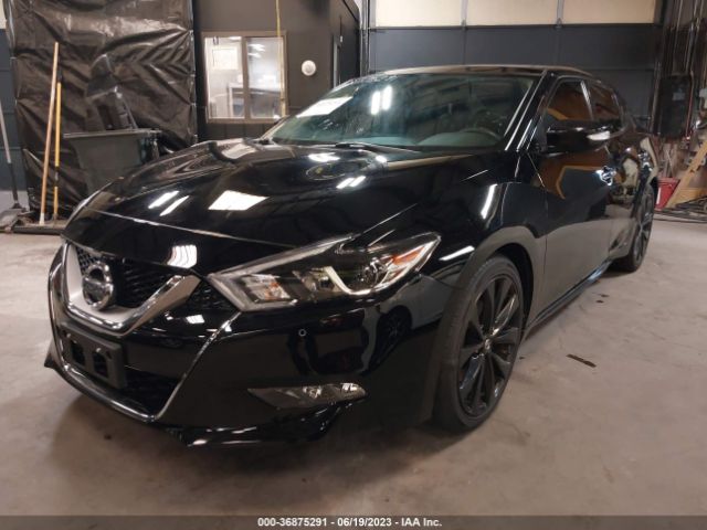 1N4AA6AP5HC408025 Nissan MAXIMA SL