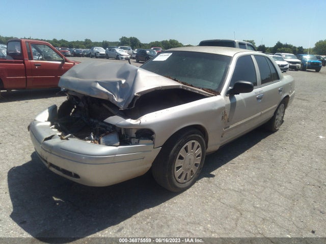 2009 FORD POLICE INTERCEPTOR VIN: 2FAHP71V99X141302