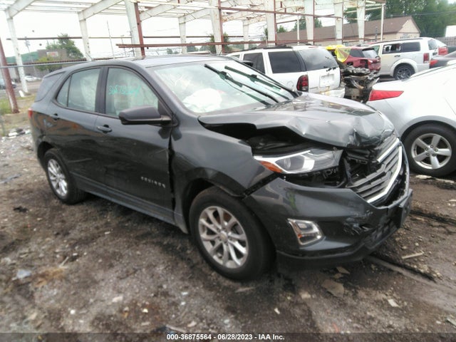 Chevrolet EQUINOX LS 2019 3GNAXHEV3KS664606 Image 1