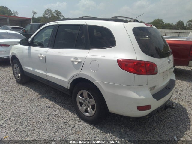 2009 HYUNDAI SANTA FE GLS VIN: 5NMSG73D29H299323