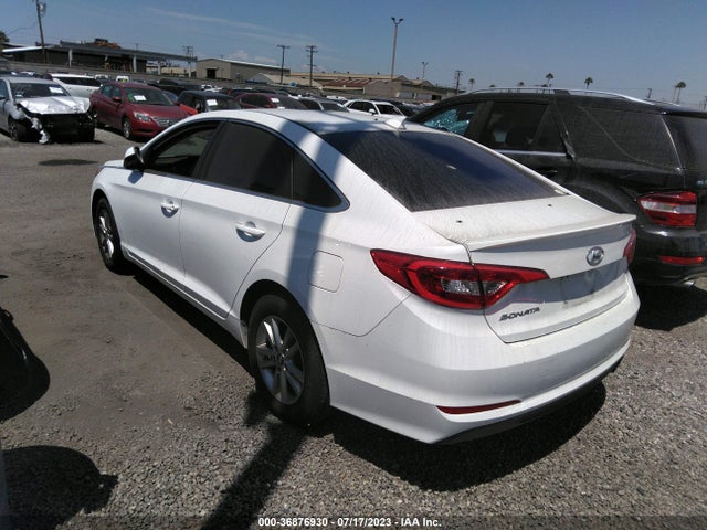 Hyundai Sonata 2.4l 2017 5NPE24AF5HH505279 Image 3