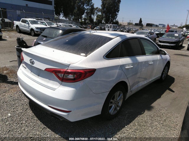 Hyundai Sonata 2.4l 2017 5NPE24AF5HH505279 Image 4