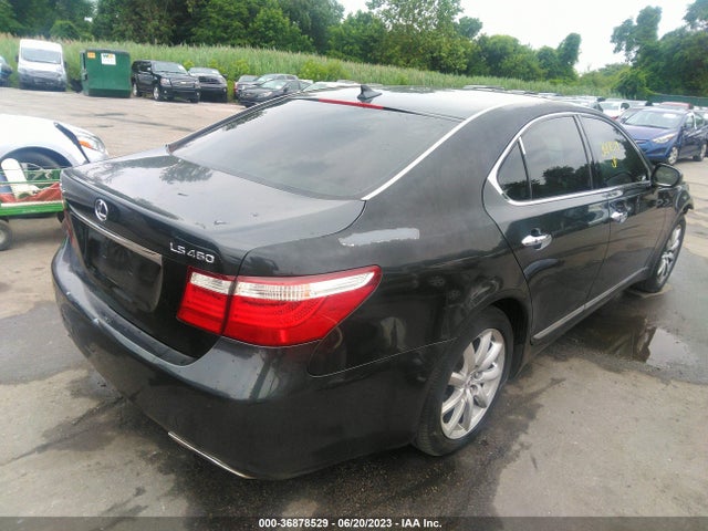 2009 LEXUS LS 460 VIN: JTHBL46F195088221