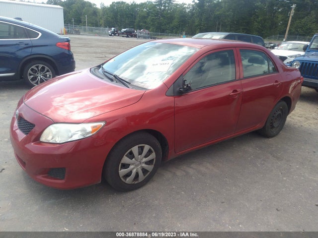 2010 TOYOTA COROLLA VIN: JTDBU4EE4A9108370