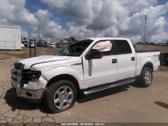 1FTFW1EF7EFA06779 Ford F-150 Xl/xlt/stx/fx4/lariat